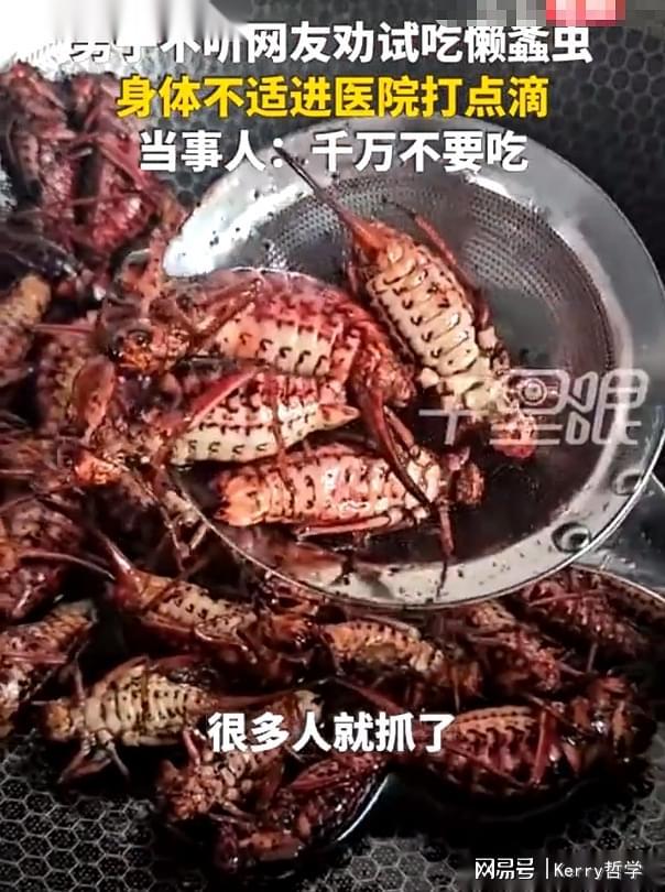 野外昆虫食用危机：内蒙古男子误食“油拉罐子”遭急性肠胃炎(图4)