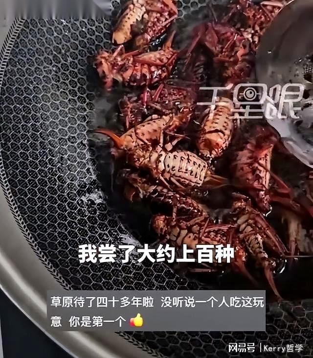 野外昆虫食用危机：内蒙古男子误食“油拉罐子”遭急性肠胃炎(图3)