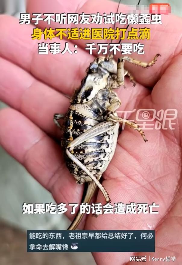 野外昆虫食用危机：内蒙古男子误食“油拉罐子”遭急性肠胃炎(图5)