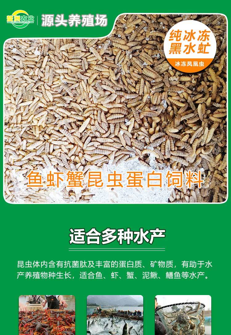 中央一号文件这些名词值得关注(图1)