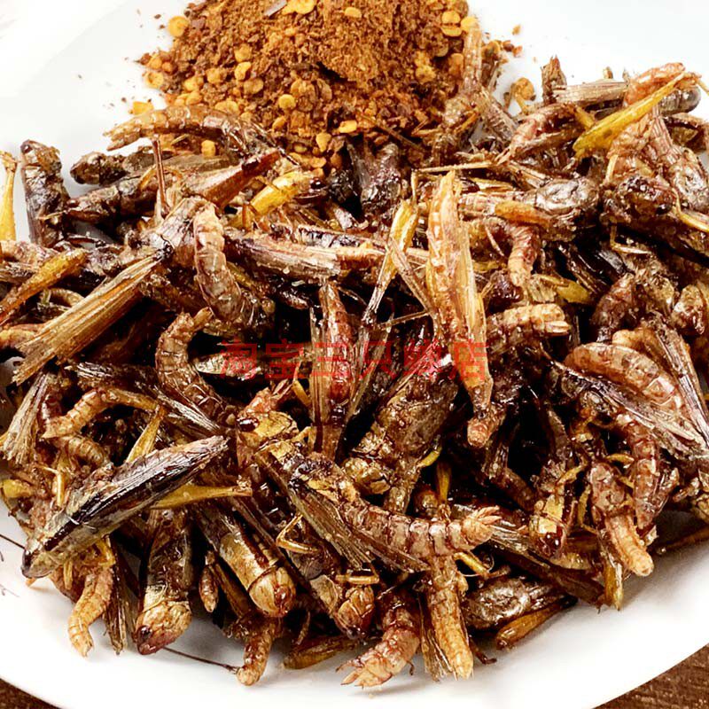 食品级蛋白结合力检测食品级蛋白结合力测试报告(图1)