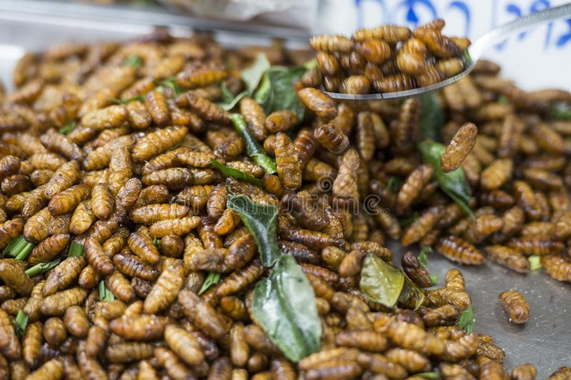 加强极端气候下粮食安全韧性建设(图1)