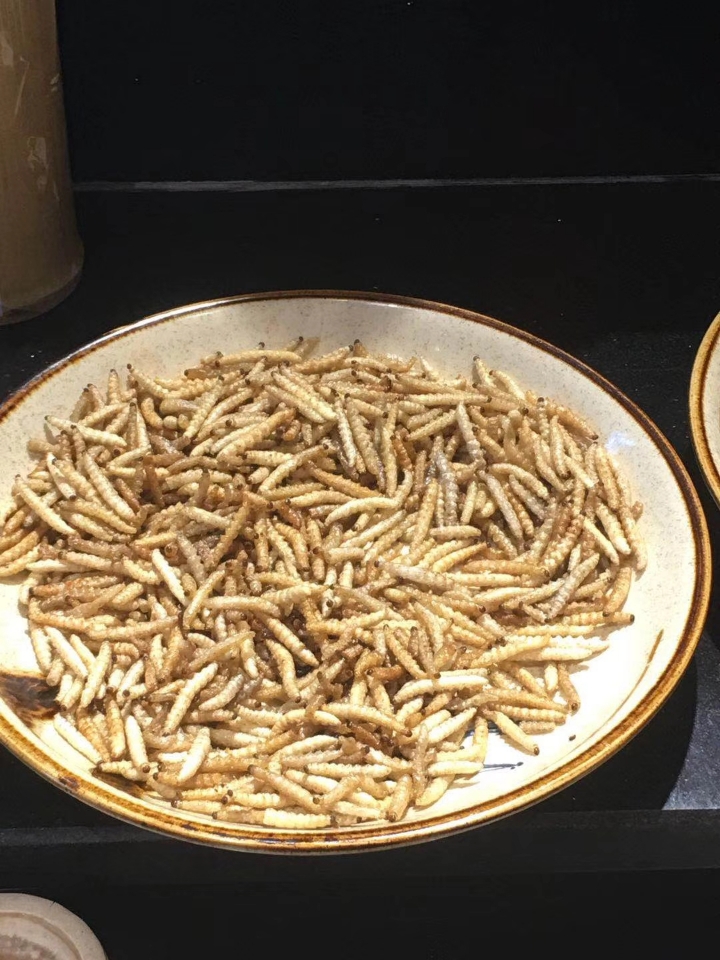 哪家面包虫养殖企业好(图1)