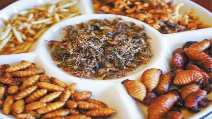 2035 年全球宠物食品市场规模预计将达 2477 亿美元(图1)