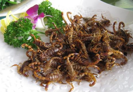 2025年营养食品加工行业深度分析：现状洞察、前景展望与趋势(图1)