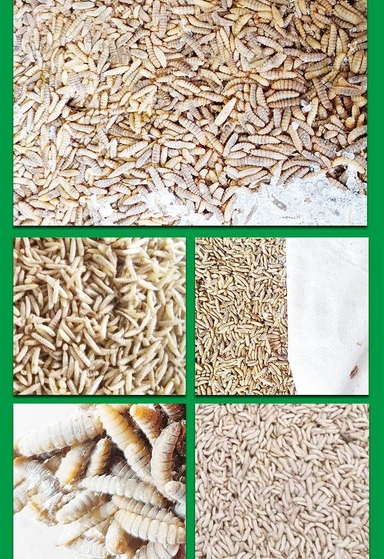 孔祥智：迈向更高水平的粮食安全与乡村发展——学习贯彻中央农村工作会议精神（2）(图1)