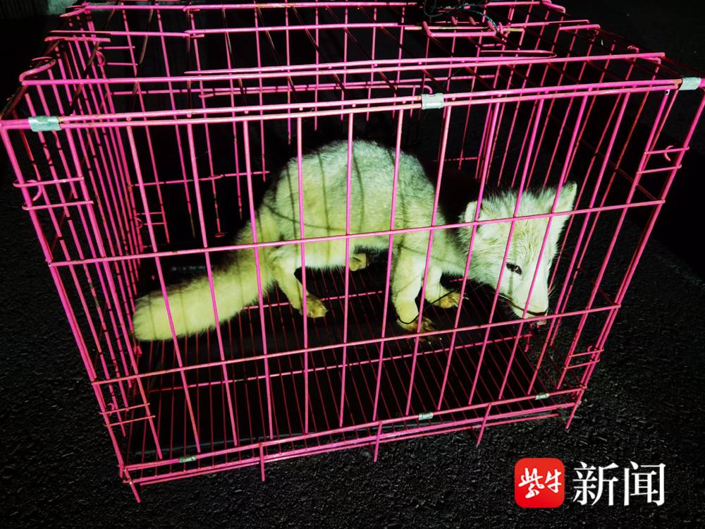 天津地区_专注食品行业推动食品安全_资讯中心_伙伴网(图1)