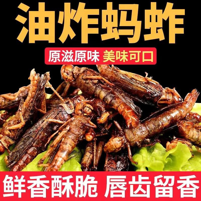 福建昆虫食品中标结果(图1)