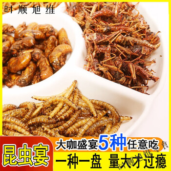 2026年哈萨克斯坦阿拉木图国际食品、食品加工及包装展览会(图1)